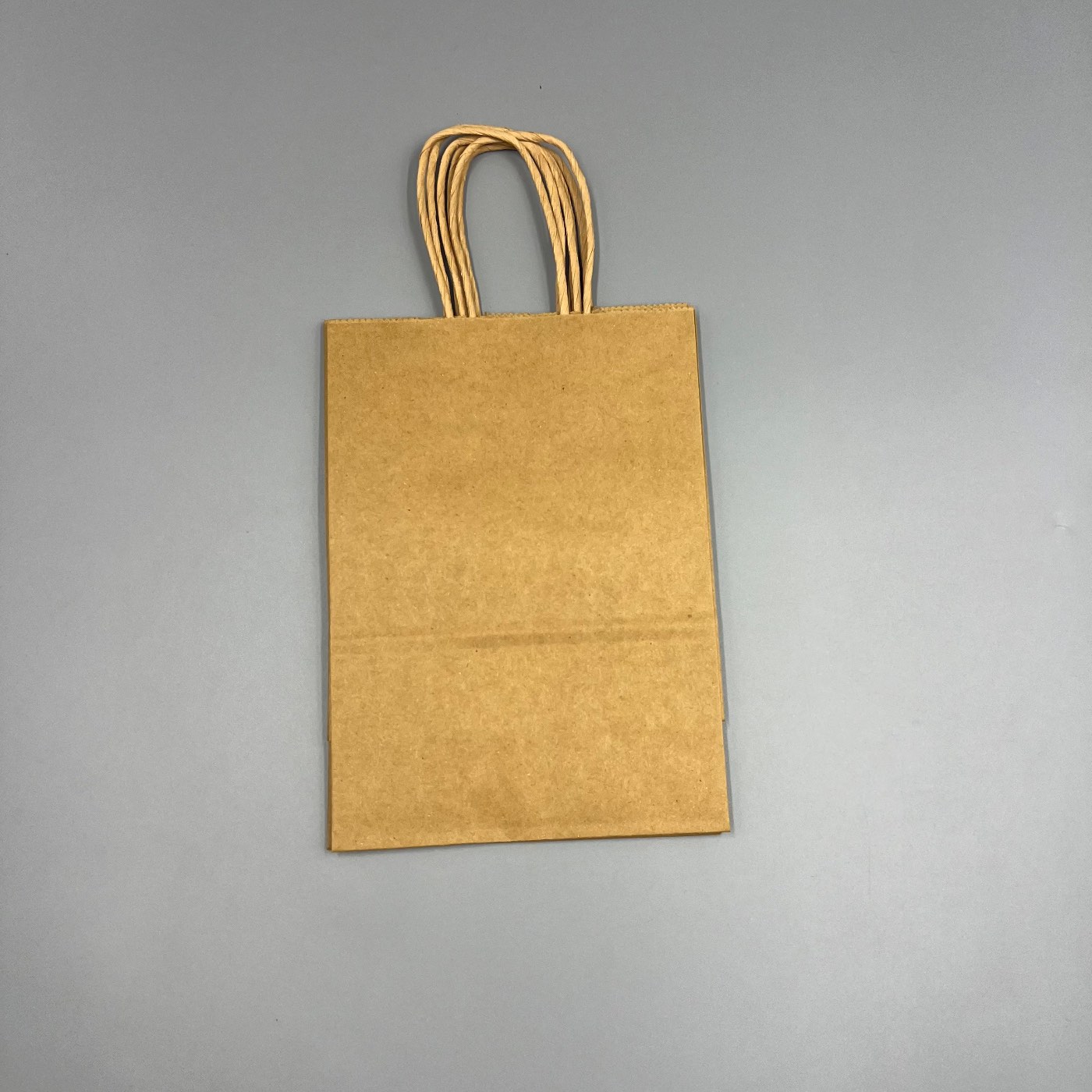 Kraft Bag - Twisted Handle — view 3