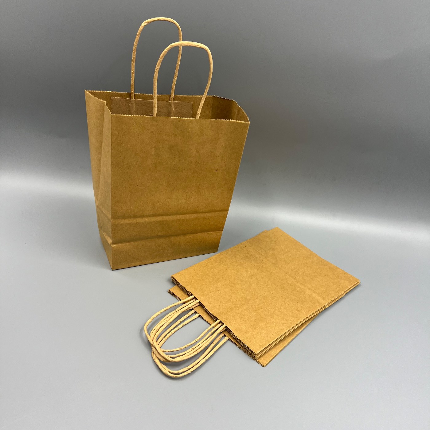 Kraft Bag - Twisted Handle — view 4